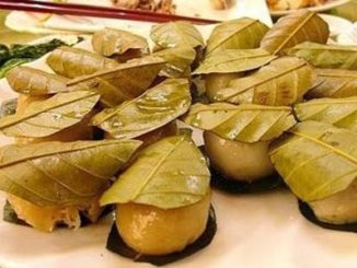 湛江木叶夹