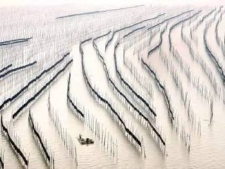 闽菜|福建的那片海