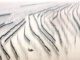 闽菜|福建的那片海